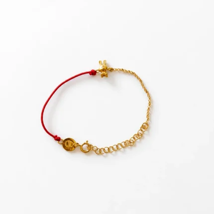 Pulsera de hilo rojo del Conejo con cordón rojo y cadena dorada